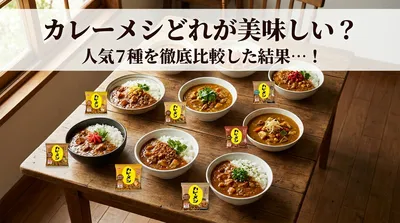 カレーメシどれが美味しい？人気7種を徹底比較した結果…！