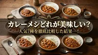 カレーメシどれが美味しい？人気7種を徹底比較した結果…！