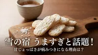 雪の宿 うますぎと話題！甘じょっぱさが病みつきになる理由は？