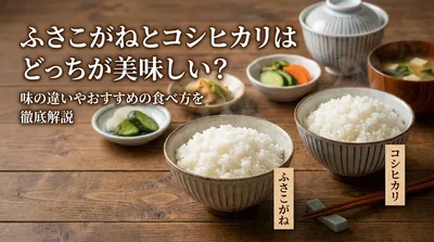 ふさこがねとコシヒカリはどっちが美味しい？味の違いやおすすめの食べ方を徹底解説