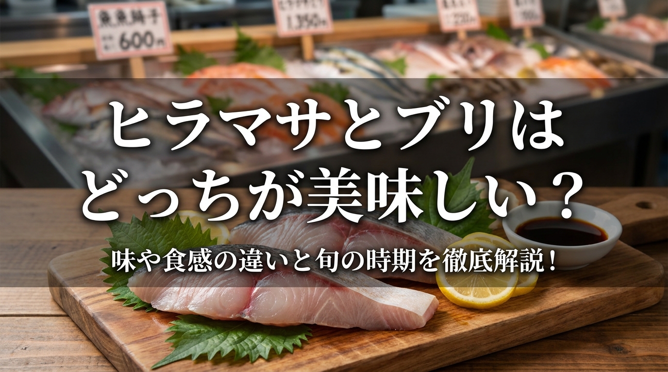 ヒラマサとブリはどっちが美味しい?味や食感の違いと旬の時期を徹底解説!
