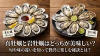 真牡蠣と岩牡蠣はどっちが美味しい？旬や味の違いを知って贅沢に楽しむ秘訣とは？