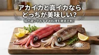 アカイカと真イカならどっちが美味しい？味の違いやおすすめ料理を徹底比較！