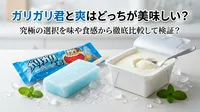 ガリガリ君と爽はどっちが美味しい？究極の選択を味や食感から徹底比較して検証？
